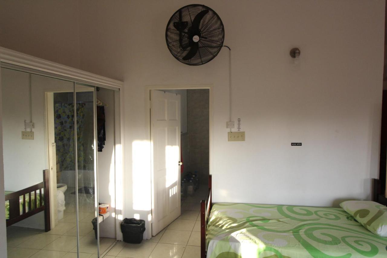 Belleh23 Kingston Creative Guesthouse 外观 照片